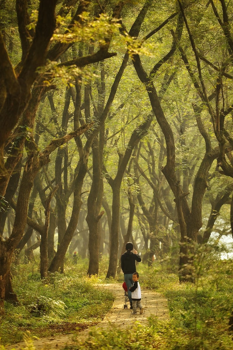 Whimsical Woodland Atmosphere